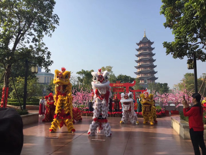 惠州旅游区舞狮表演